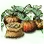 Mysterious Pumpkin Seed icon