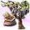 Mysterious Grape Seed icon