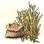 Mysterious Barley Seed icon