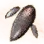 Mysterious Fortune Teller Mushroom Hypha icon