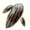 Mysterious Dwarf Mushroom Hypha icon