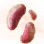 Mysterious Emperor Mushroom Hypha icon