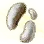 Mysterious Ghost Mushroom Hypha icon