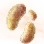 Mysterious Hump Mushroom Hypha icon