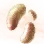 Mysterious Ancient Mushroom Hypha icon