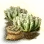 Mysterious Penestraria Seed icon