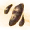 Mysterious Bouqet Mushroom Hypha icon