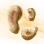 Mysterious Pie Mushroom Hypha icon