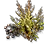 Dry Mane Grass Seed icon