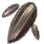 Everlasting Herb Seed icon