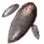 Fortune Teller Mushroom Hypha icon