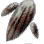 Dwarf Mushroom Hypha icon