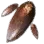 High-quality Sky Mushroom Hypha icon
