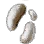 Ghost Mushroom Hypha icon