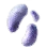 Fog Mushroom Hypha icon