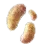 Hump Mushroom Hypha icon