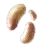 Ancient Mushroom Hypha icon