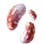 Amanita Mushroom Hypha icon