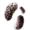 Magical Truffle Mushroom Hypha icon