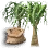 Nolina Seed icon