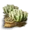 Penestraria Seed icon