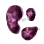 High-quality Purple Mushroom Hypha icon