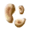 High-quality Pie Mushroom Hypha icon