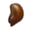 Contorted Seed icon