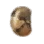 Super Seed for QA icon