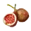 Fig icon