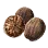 Nutmeg icon