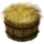 Haystack icon