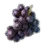 Grape icon