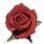 Rose icon