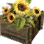 Sunflower Crate icon