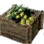 Olive Crate icon
