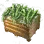 Nolina Crate icon