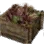 Sunrise Herb Crate icon