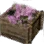Silver Azalea Crate icon