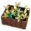 High-quality Everlasting Herb Crate icon