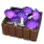 High-quality Bluffer Mushroom Crate icon