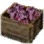 Pink Trumpet Mushroom Box icon