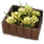 Yellow Flower Box icon
