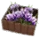 Violet Flower Box icon