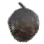 Wild Beehive icon