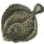 Flounder icon