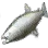 Salmon icon