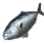 Amberjack icon