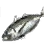 Saurel icon