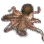 Octopus icon